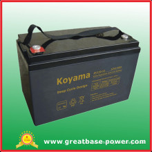 110ah 12V Deep Cycle Lead Acid AGM Floor Washer Battery Golf Cart Battery